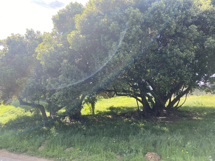 0 Bedroom Property for Sale in Hawston Western Cape